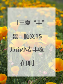 三夏“丰”景｜顺义15万亩小麦丰收在即