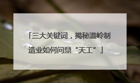 三大关键词，揭秘温岭制造业如何问鼎“天工”