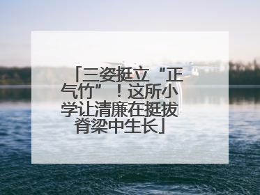 三姿挺立“正气竹”！这所小学让清廉在挺拔脊梁中生长