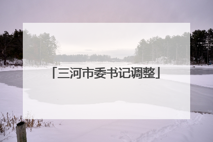 三河市委书记调整