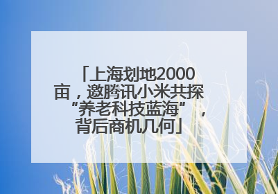 上海划地2000亩，邀腾讯小米共探“养老科技蓝海”，背后商机几何