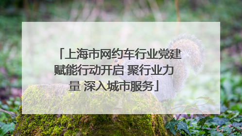 上海市网约车行业党建赋能行动开启 聚行业力量 深入城市服务