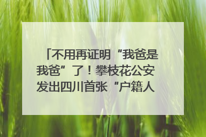 不用再证明“我爸是我爸”了！攀枝花公安发出四川首张“户籍人口直系亲属关系谱”