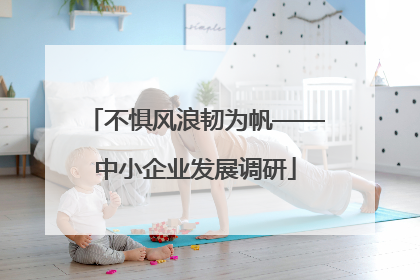 不惧风浪韧为帆——中小企业发展调研