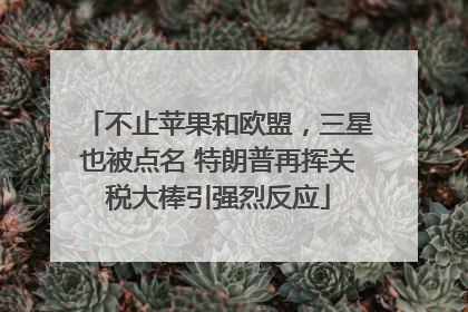 不止苹果和欧盟，三星也被点名 特朗普再挥关税大棒引强烈反应