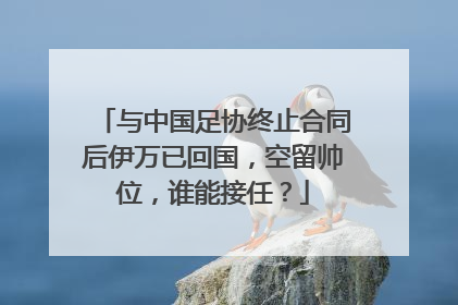 与中国足协终止合同后伊万已回国，空留帅位，谁能接任？