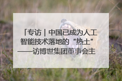 专访｜中国已成为人工智能技术落地的“热土”——访博世集团董事会主席斯特凡·哈通