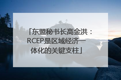 东盟秘书长高金洪：RCEP是区域经济一体化的关键支柱