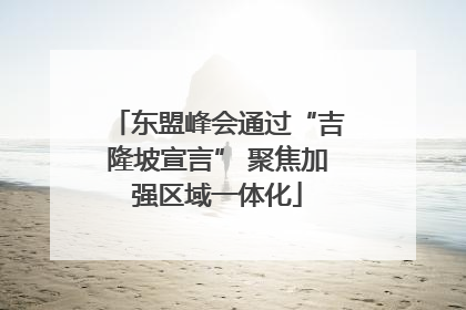东盟峰会通过“吉隆坡宣言” 聚焦加强区域一体化