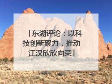 东湖评论：以科技创新聚力，推动江汉欣欣向荣