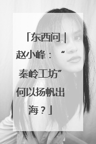 东西问｜赵小峰：“秦岭工坊”何以扬帆出海？
