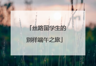 丝路留学生的别样端午之旅