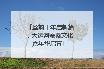 丝韵千年启新篇，大运河蚕桑文化嘉年华启幕