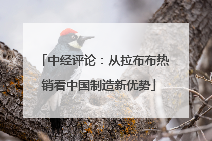 中经评论：从拉布布热销看中国制造新优势