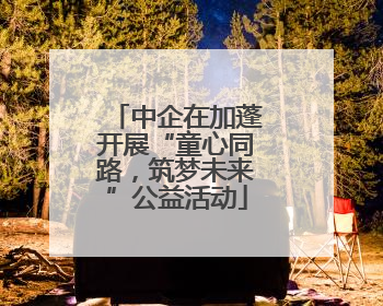 中企在加蓬开展“童心同路，筑梦未来”公益活动