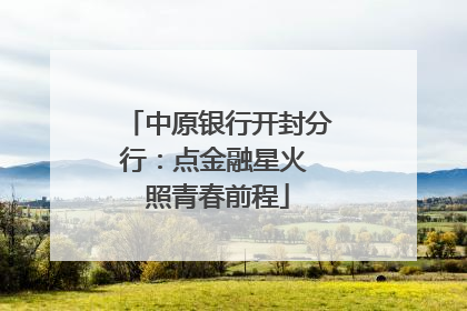 中原银行开封分行：点金融星火 照青春前程