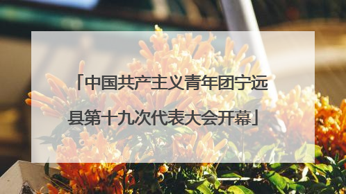 中国共产主义青年团宁远县第十九次代表大会开幕