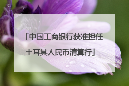 中国工商银行获准担任土耳其人民币清算行