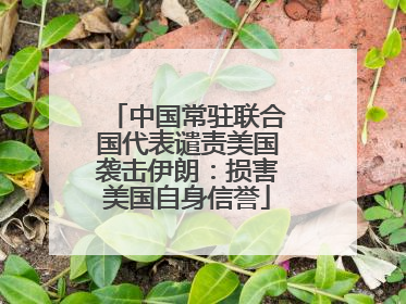 中国常驻联合国代表谴责美国袭击伊朗：损害美国自身信誉