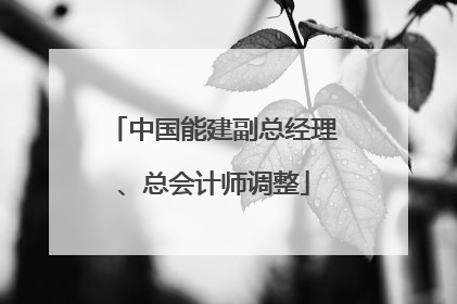 中国能建副总经理、总会计师调整