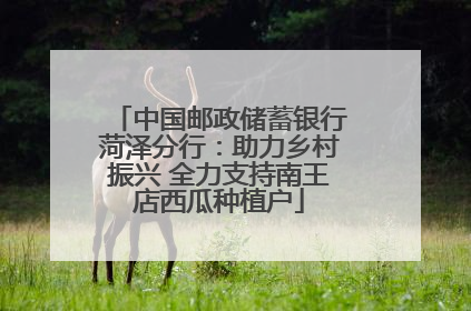 中国邮政储蓄银行菏泽分行：助力乡村振兴 全力支持南王店西瓜种植户