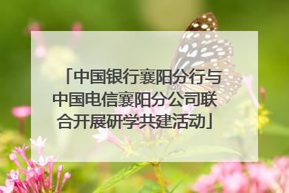中国银行襄阳分行与中国电信襄阳分公司联合开展研学共建活动