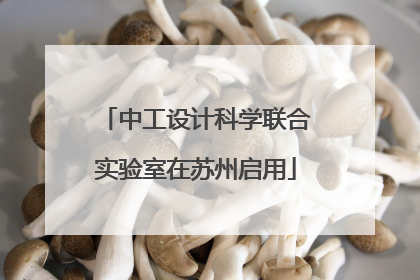 中工设计科学联合实验室在苏州启用