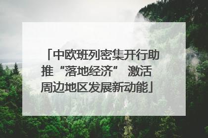 中欧班列密集开行助推“落地经济” 激活周边地区发展新动能
