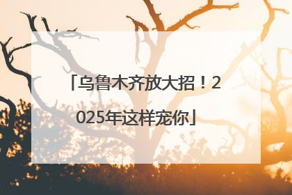 乌鲁木齐放大招！2025年这样宠你