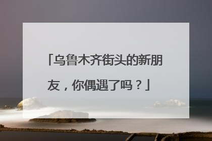 乌鲁木齐街头的新朋友，你偶遇了吗？
