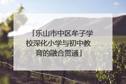 乐山市中区牟子学校深化小学与初中教育的融合贯通