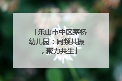 乐山市中区茅桥幼儿园：同频共振，聚力共生