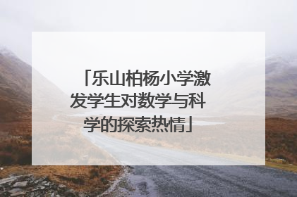 乐山柏杨小学激发学生对数学与科学的探索热情