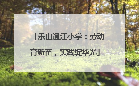 乐山通江小学：劳动育新苗，实践绽华光