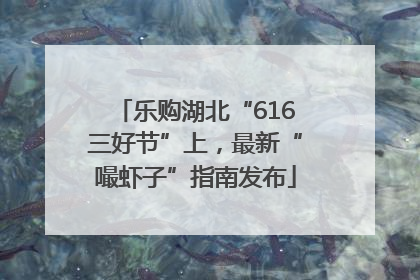 乐购湖北“616三好节”上，最新“嘬虾子”指南发布