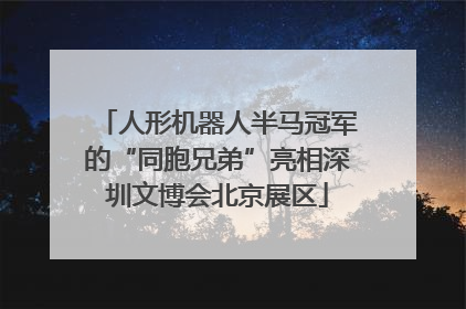人形机器人半马冠军的“同胞兄弟”亮相深圳文博会北京展区