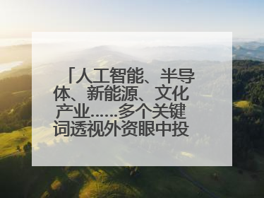 人工智能、半导体、新能源、文化产业……多个关键词透视外资眼中投资中国的新机遇