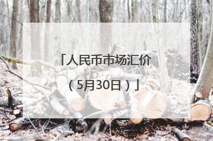 人民币市场汇价（5月30日）