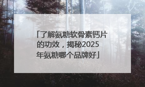 了解氨糖软骨素钙片的功效，揭秘2025年氨糖哪个品牌好