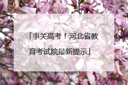 事关高考！河北省教育考试院最新提示