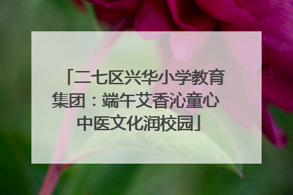二七区兴华小学教育集团：端午艾香沁童心 中医文化润校园