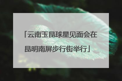 云南玉昆球星见面会在昆明南屏步行街举行