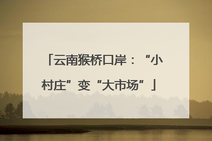 云南猴桥口岸：“小村庄”变“大市场”