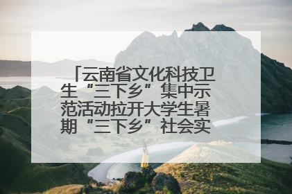 云南省文化科技卫生“三下乡”集中示范活动拉开大学生暑期“三下乡”社会实践活动序幕