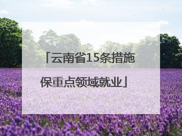云南省15条措施保重点领域就业