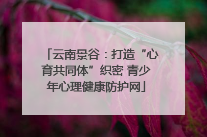 云南景谷：打造“心育共同体”织密 青少年心理健康防护网