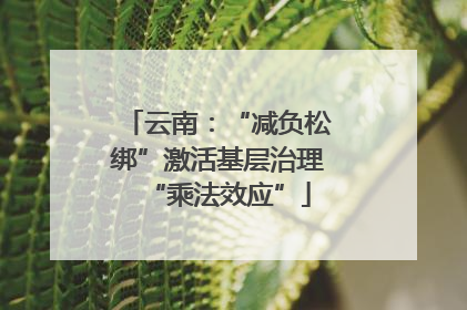 云南：“减负松绑”激活基层治理“乘法效应”