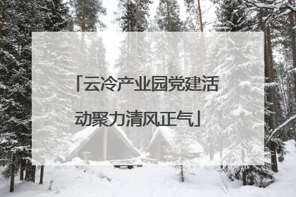 云冷产业园党建活动聚力清风正气