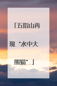 五指山再现“水中大熊猫”