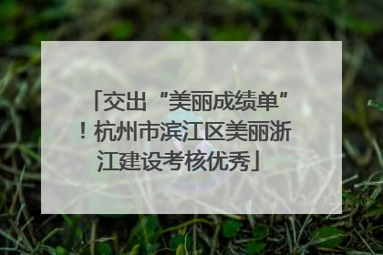 交出“美丽成绩单”！杭州市滨江区美丽浙江建设考核优秀